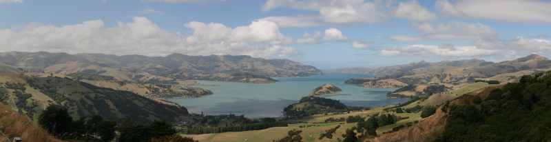 Nieuw-Zeeland 2011 - 2133